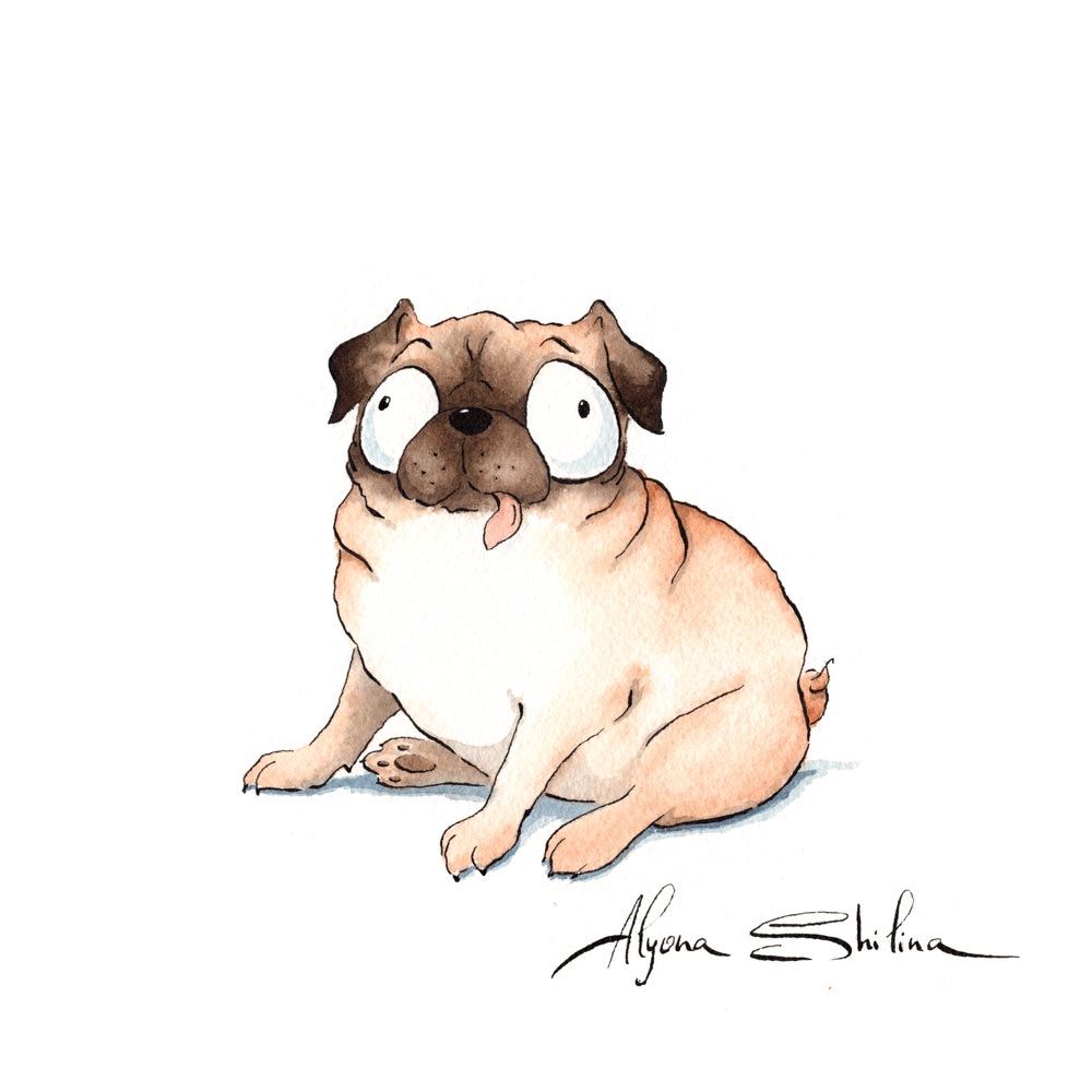 "Pug" original drawing